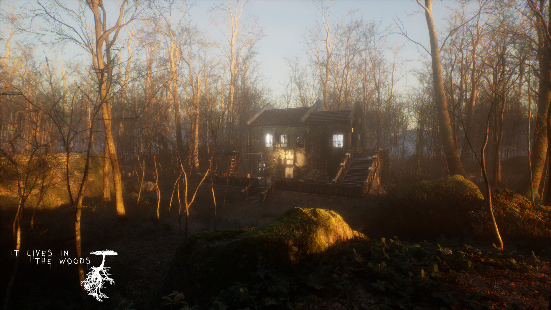 A house standing among the trees in ItLivesInTheWoods